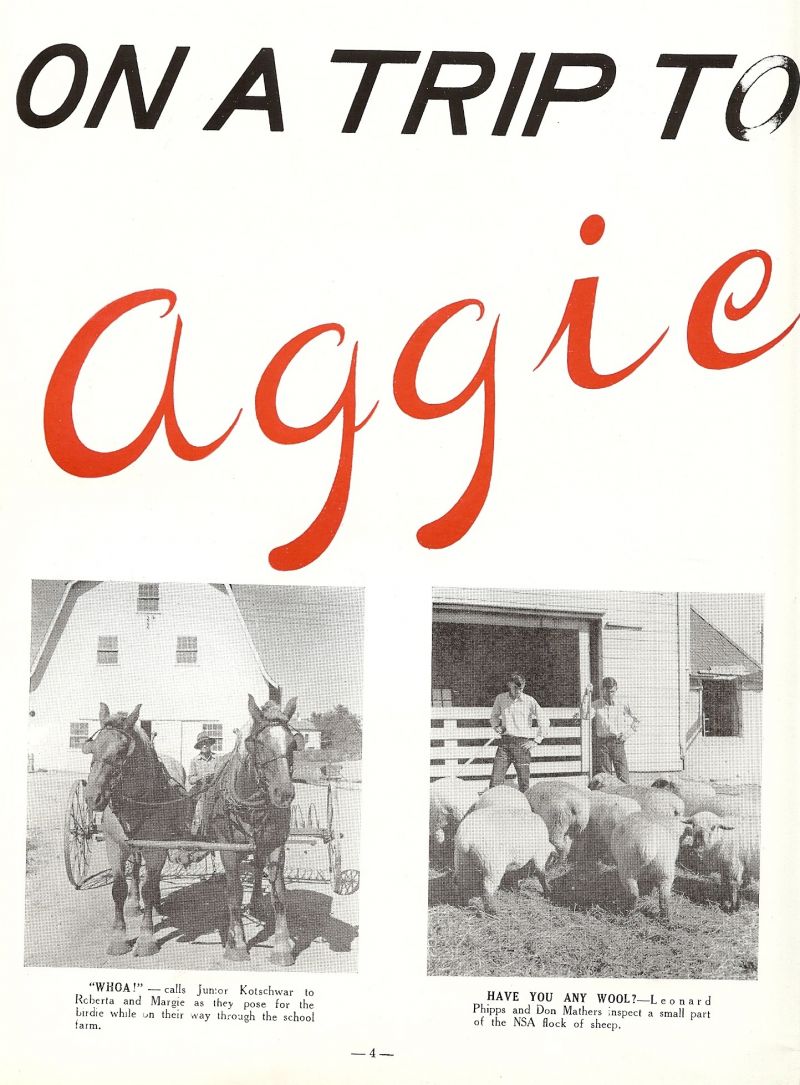 1943 Junior Kotschwar, Leonard Phipps, Don Mathers.