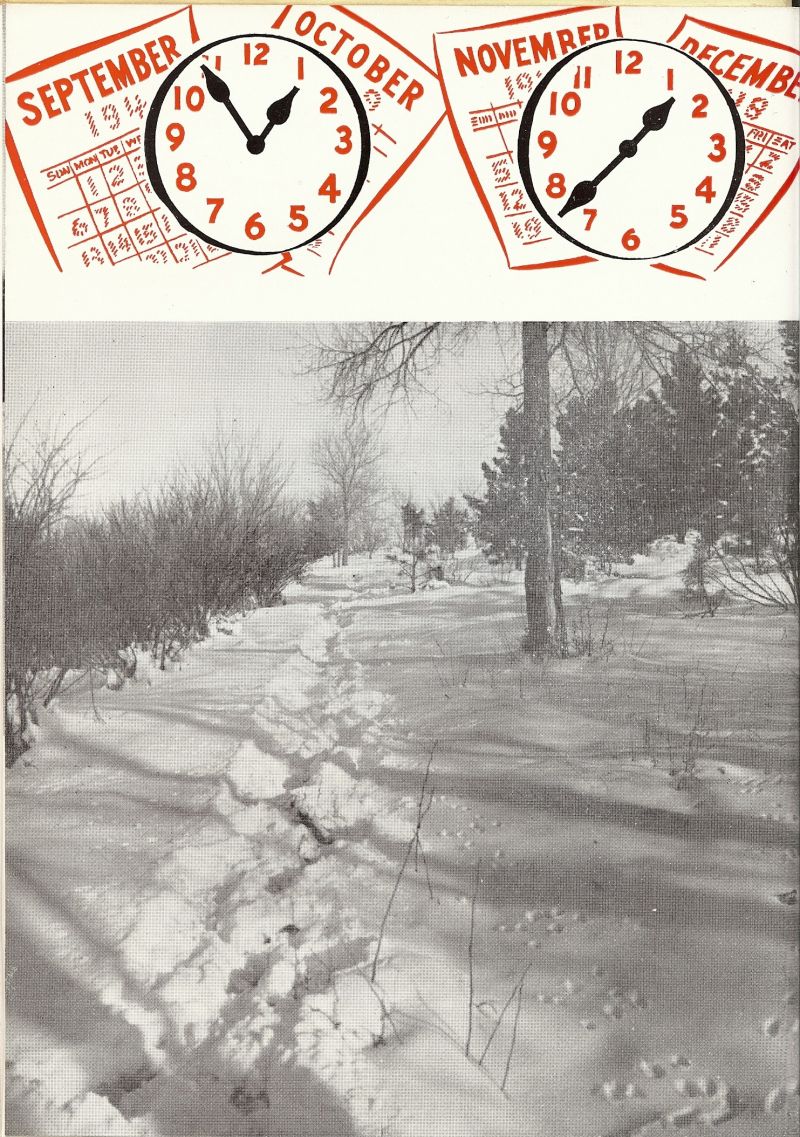 1949 