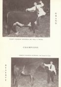 1951 page 5176