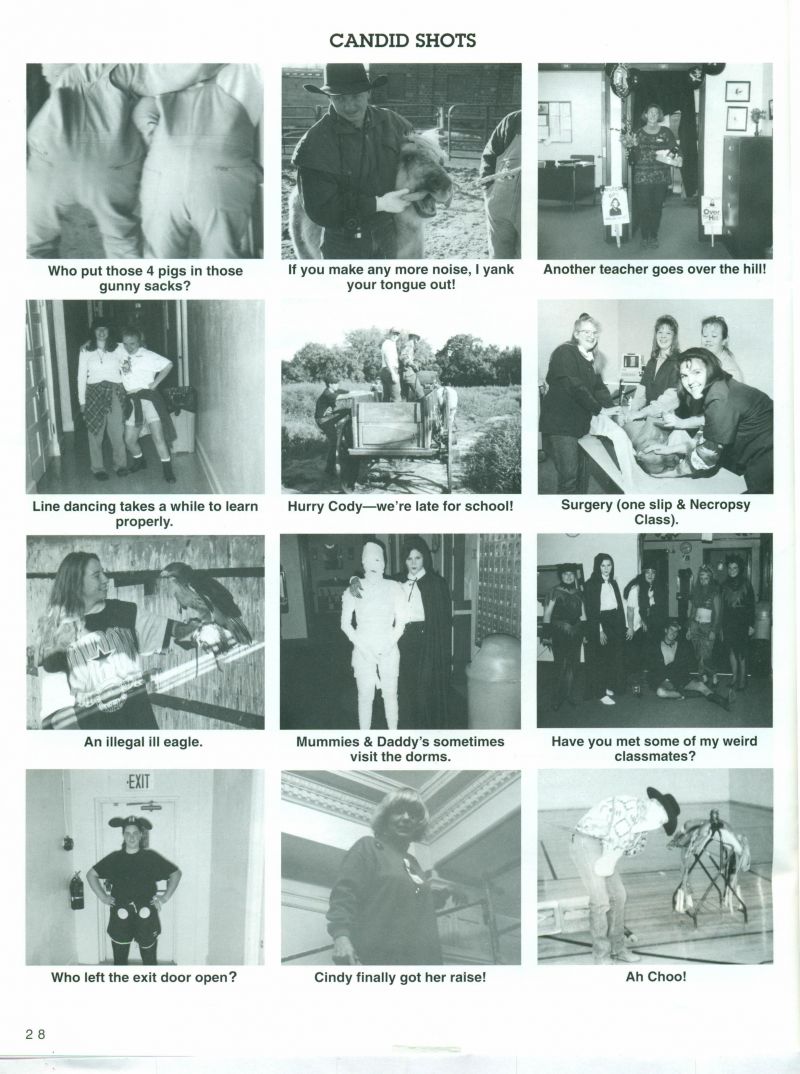 1995 