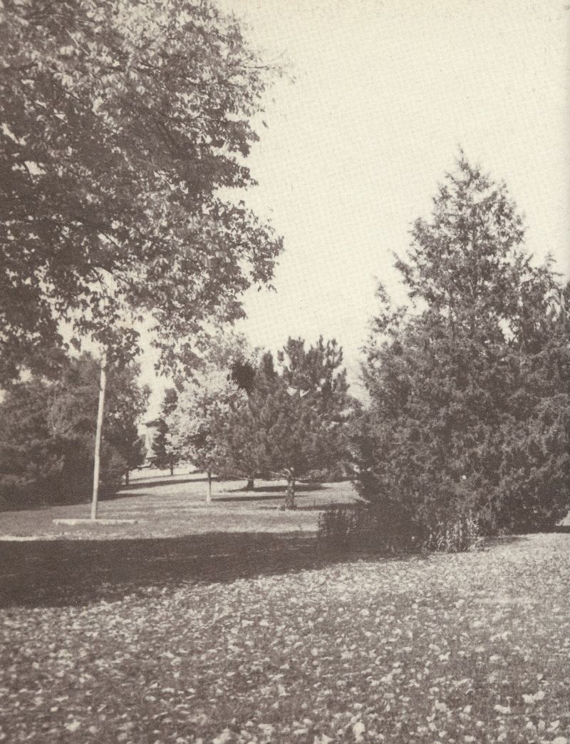 1951 