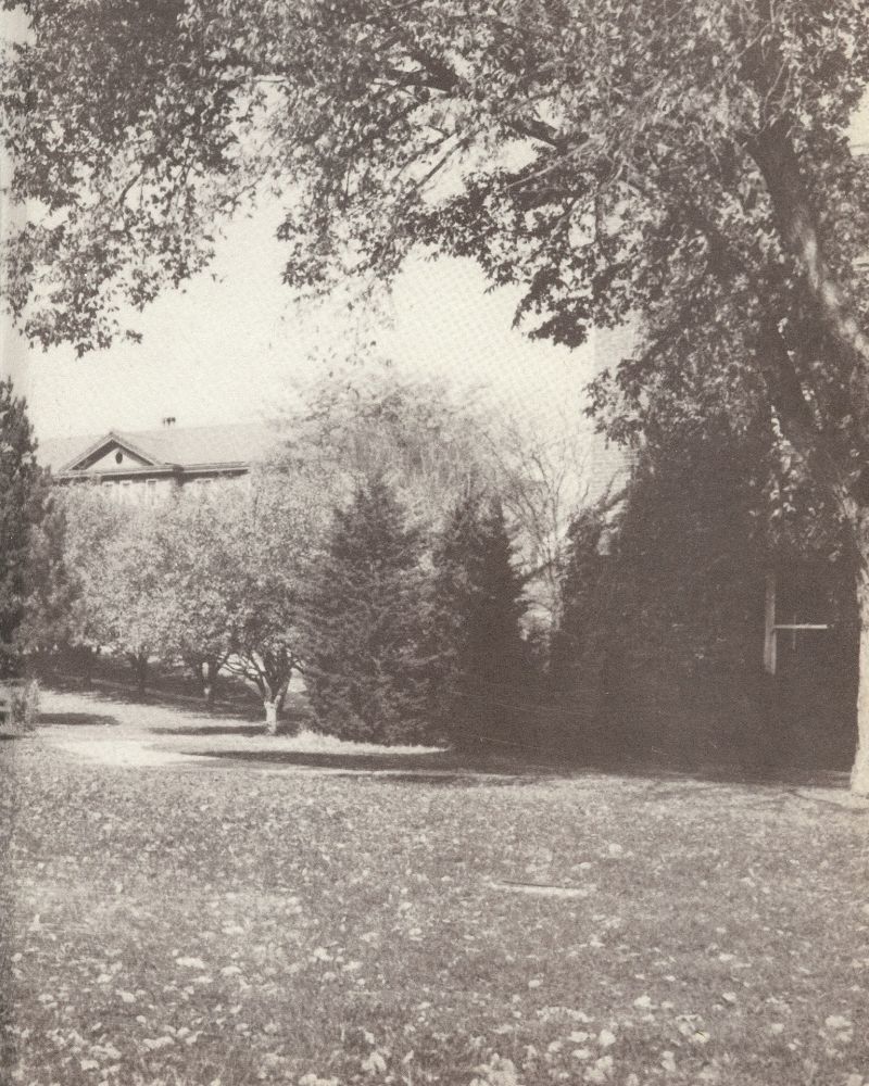 1951 