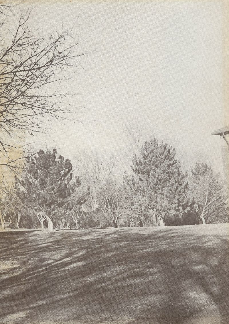 1953 