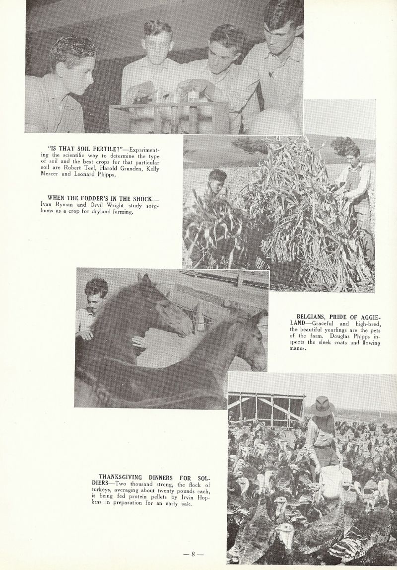 1943 Robert Teel, Harold Grunden, Kelly Mercer, Leonard Phipps, Ivan Ryman, Orvil Wright, Douglas Phipps, Ivan Hopkins.