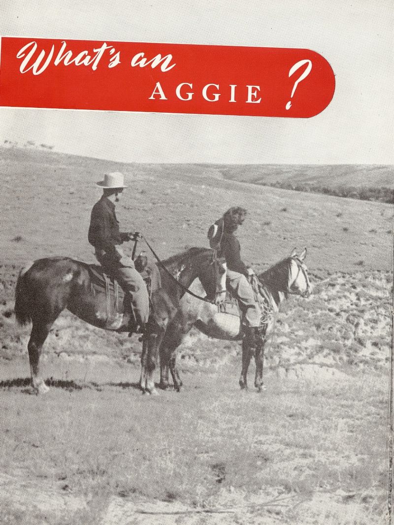 1946 
