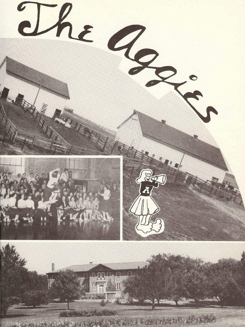 1951 