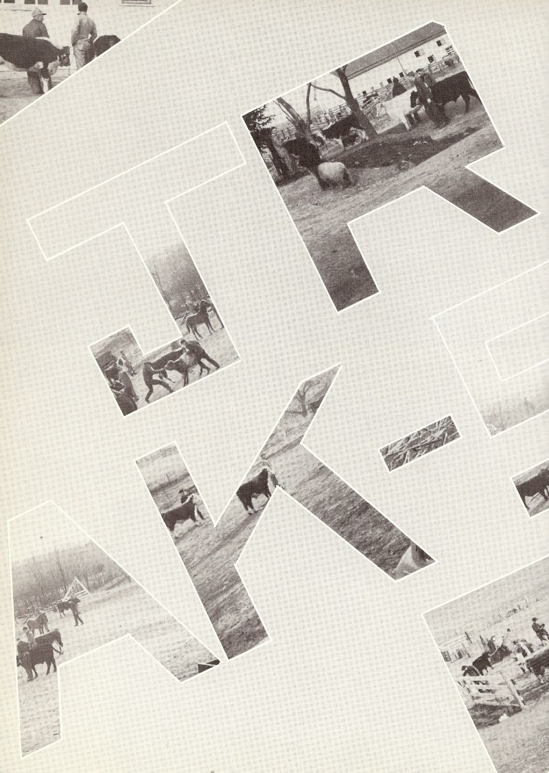 1951 