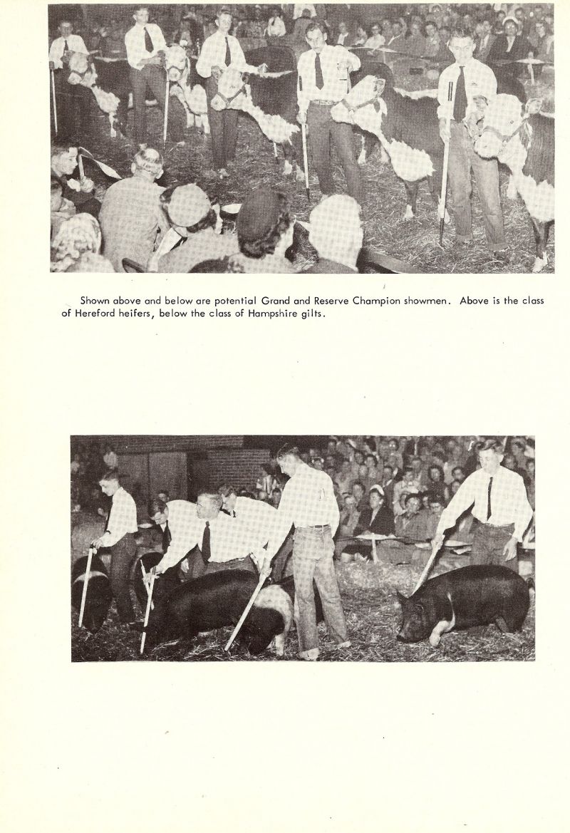 1952 
