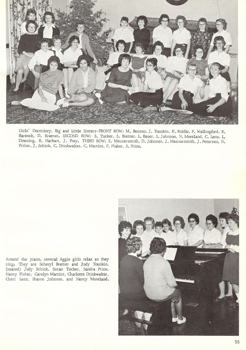 1963 Benson, Younkin, Riddle, Pearle Wallingford, Barenck, Kramer, Tucker, Bremer, Bauer, Johnson, Moreland, Lenz, Downing, Harbert, Frey, Messersmith, Johnson, Messersmith, Petersen, Fisher, Schick, Drinkwalter, martins, Fisher, Price, Scheryl Brener, Judy Younkin, Judy Schick, Susan Tucker, Sandra Pirce, Nancy Fisher, Carolyn Martins, Charlotte Drinkwalter, Cheri Lenz, Sharon Johnson, Nancy Moreland, 