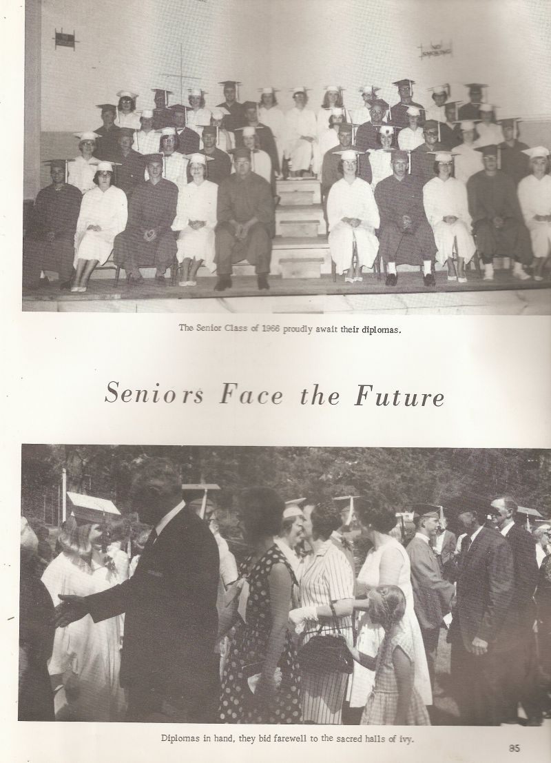 1966 