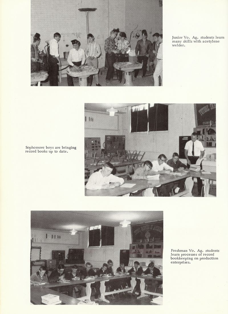 1967 