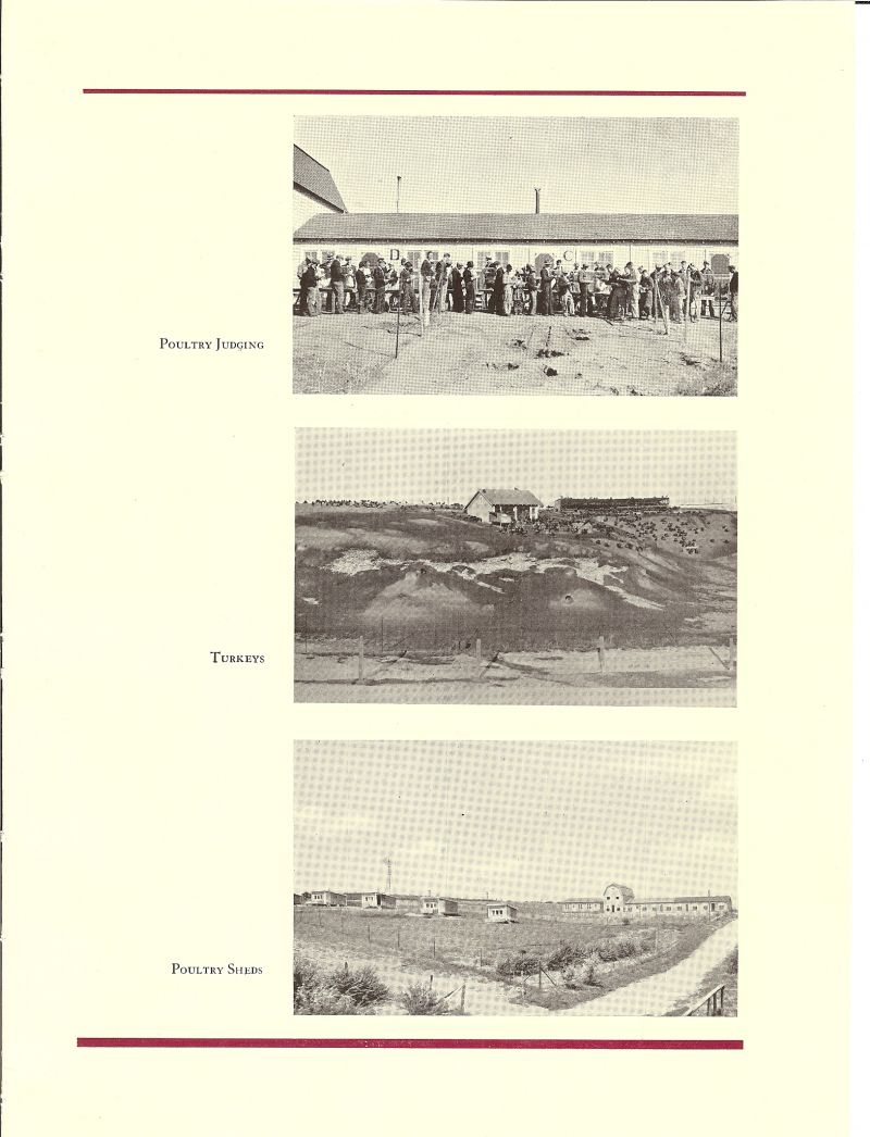 Volume_IV 